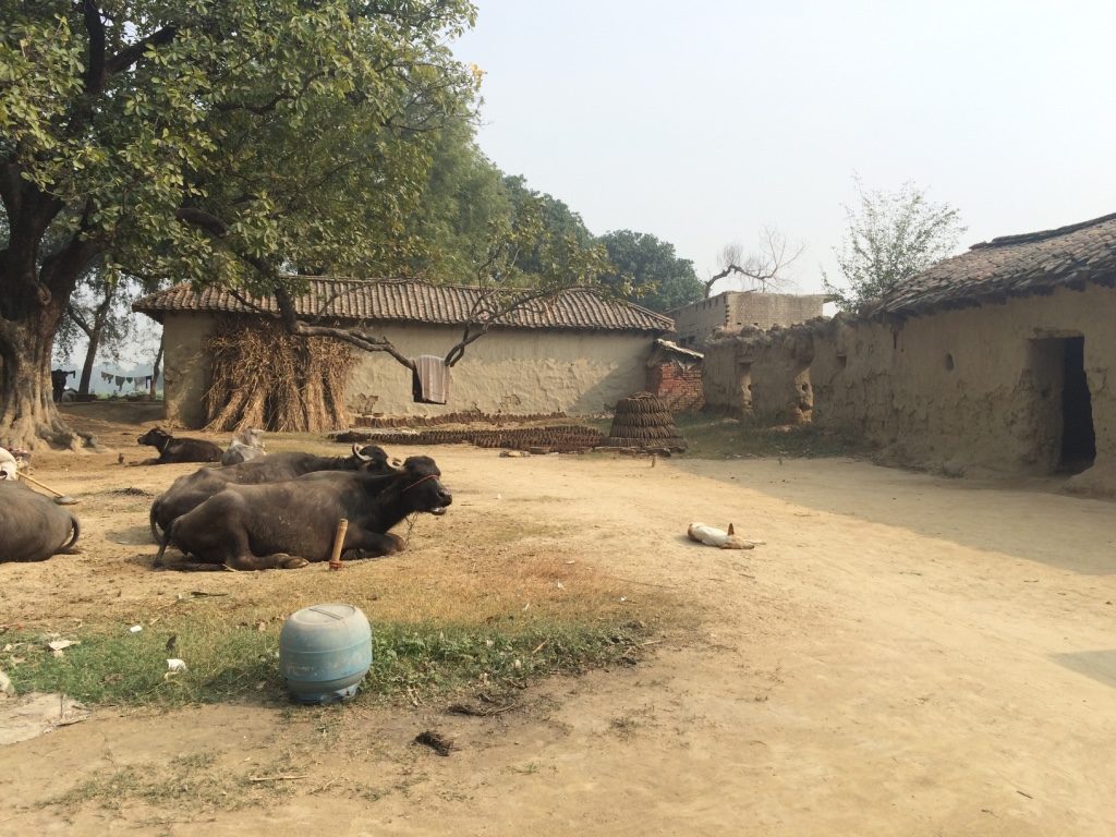 インドの田舎の集落1
