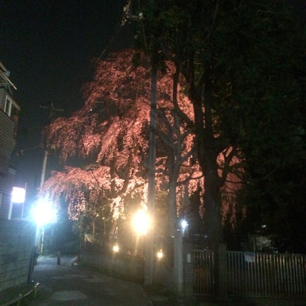 祐天寺