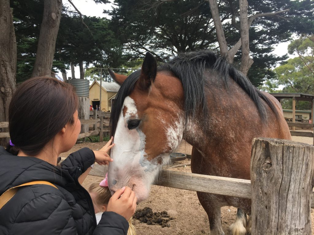 horse & Bella