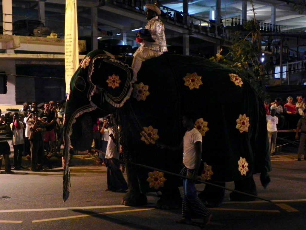 ペラヘラ祭り3 象さん