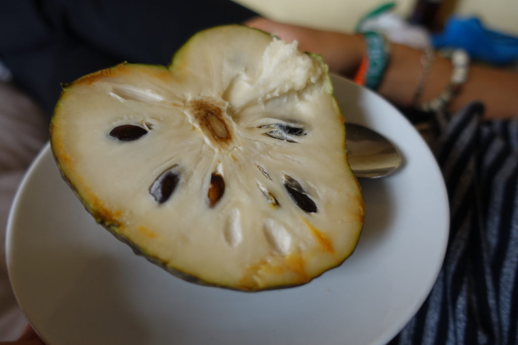 Chirimoya