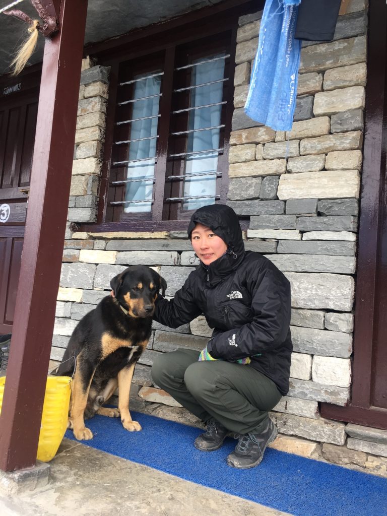 ヒマラヤに住む犬
