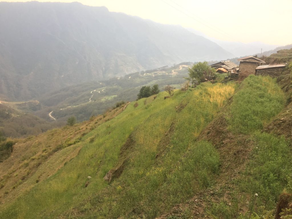 雨の降る山の景色