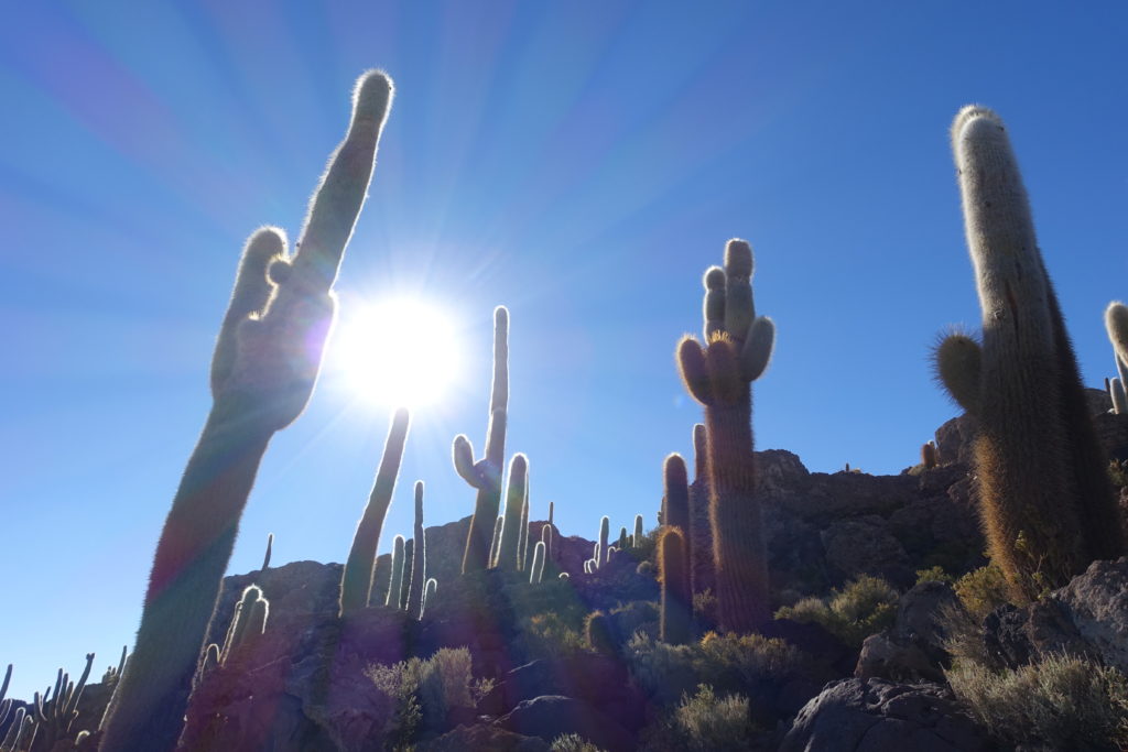 uyuni