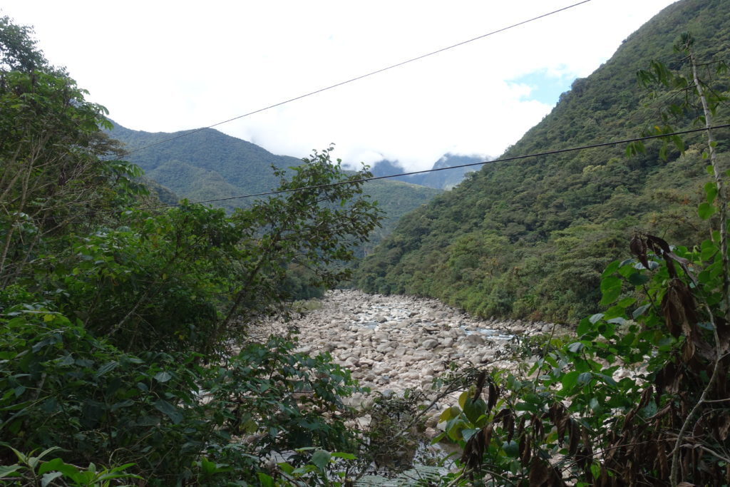 NATURE1