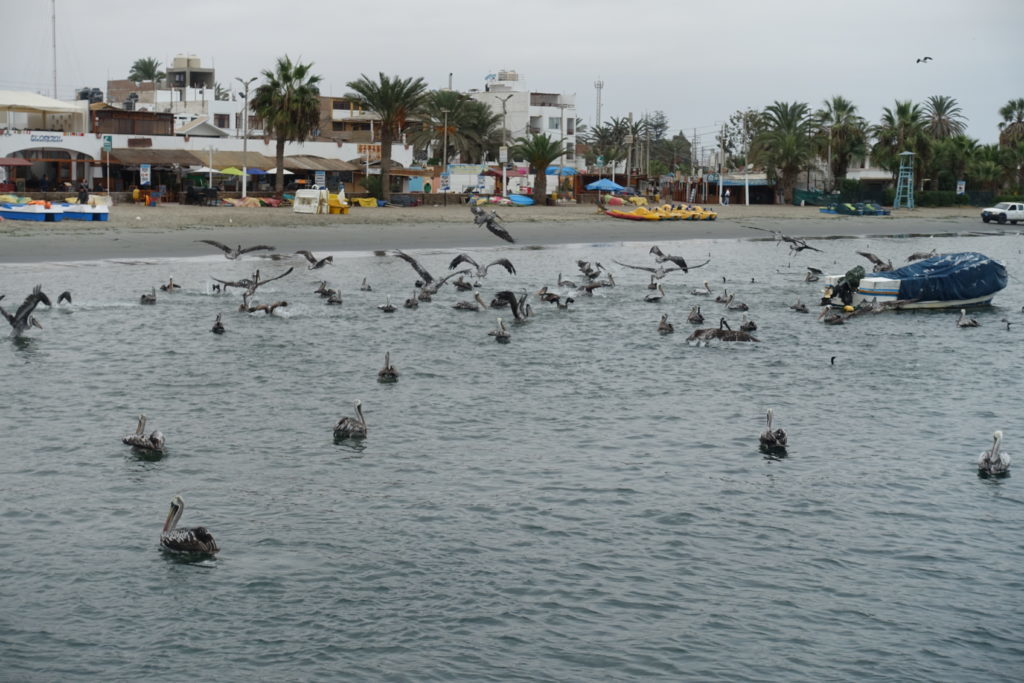 paracas1