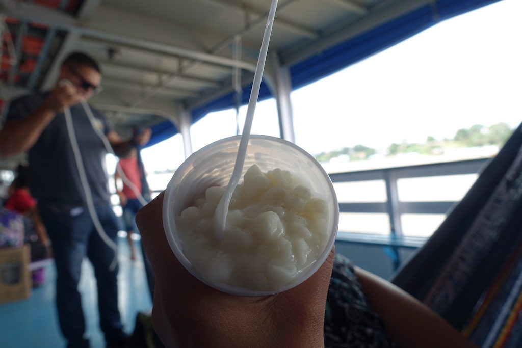 amazoncruise5