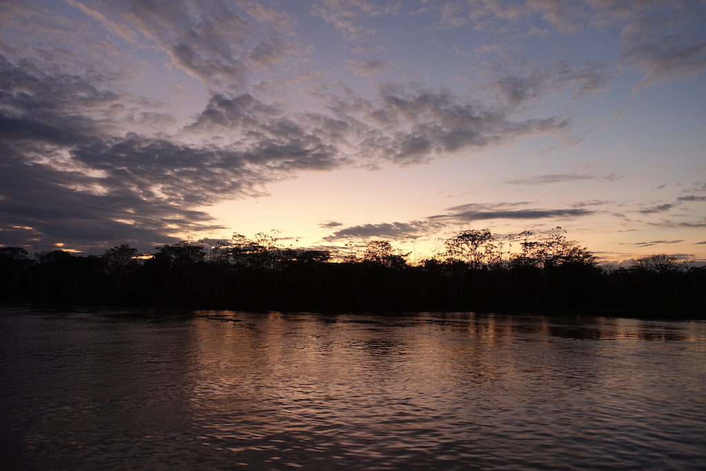 amazoncruise8