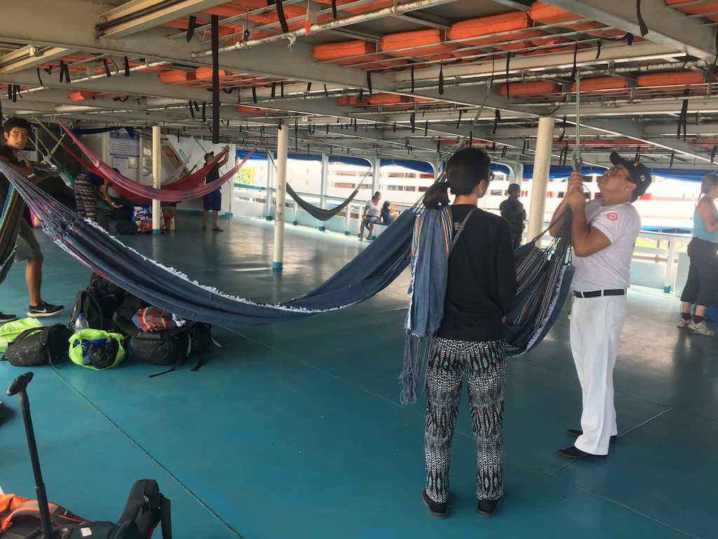 4amazoncruising2