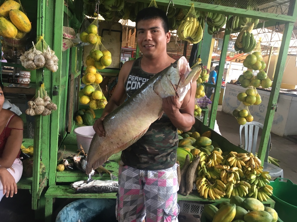 アマゾン川でとれる巨大魚
